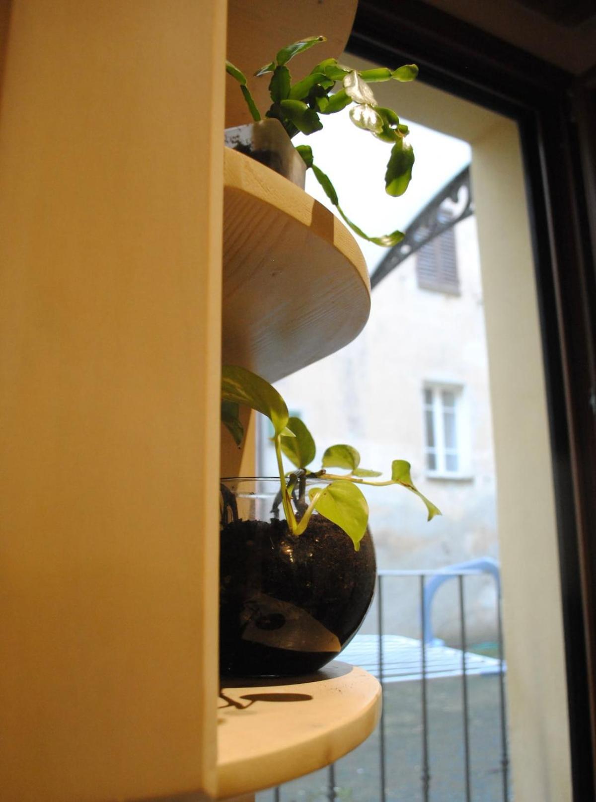 Sun Flowers House Pitigliano Zewnętrze zdjęcie